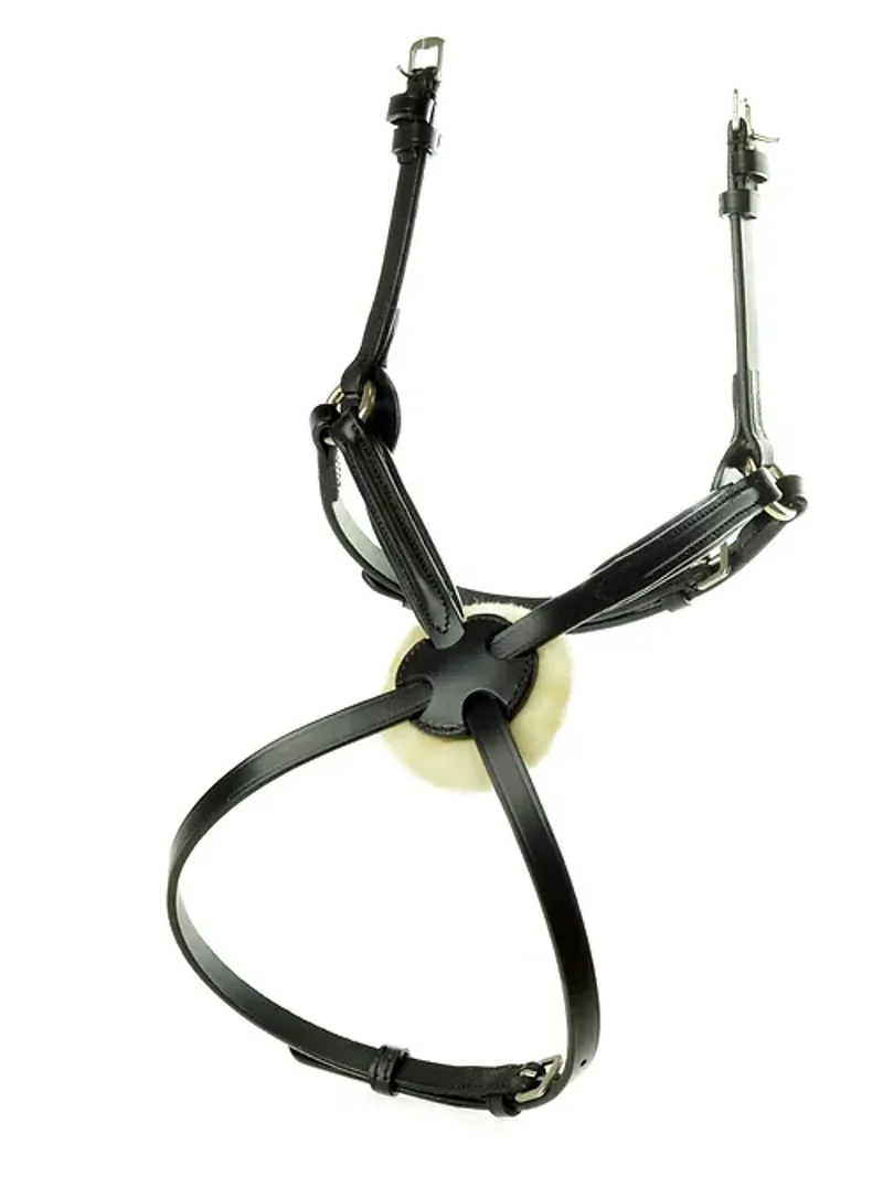 Ascot by Dever Comfort Grackle Noseband in Black