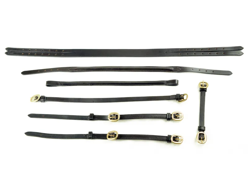 Ascot by Dever In-Hand Bridle in Black-3