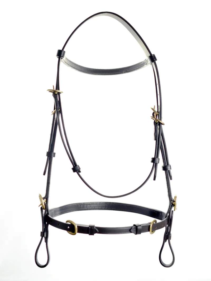 Ascot by Dever In-Hand Bridle in Black-1