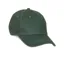 Aubrion Team Cap in Green