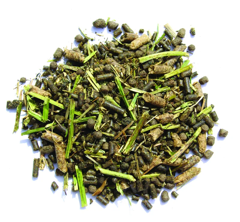 Baileys No.21 Ease and Excel Horse Feed 15kg-1