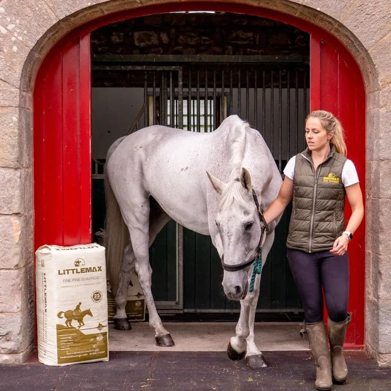 Littlemax Shavings-4