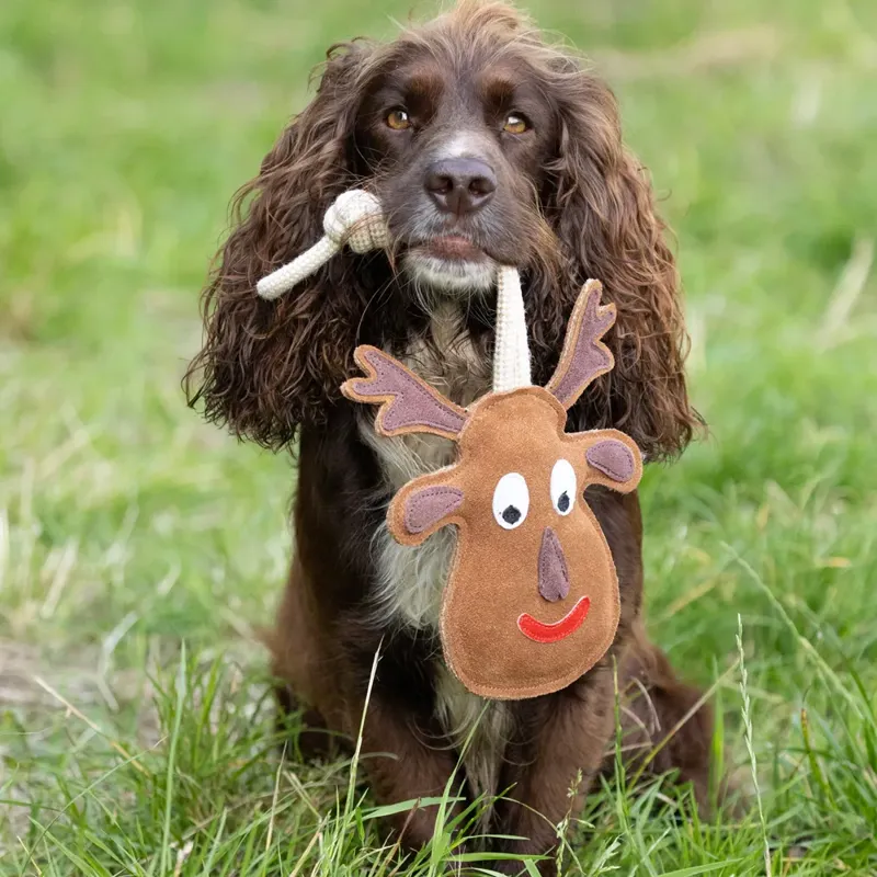 Benji and Flo Christmas Dog Toys Reindeer-1