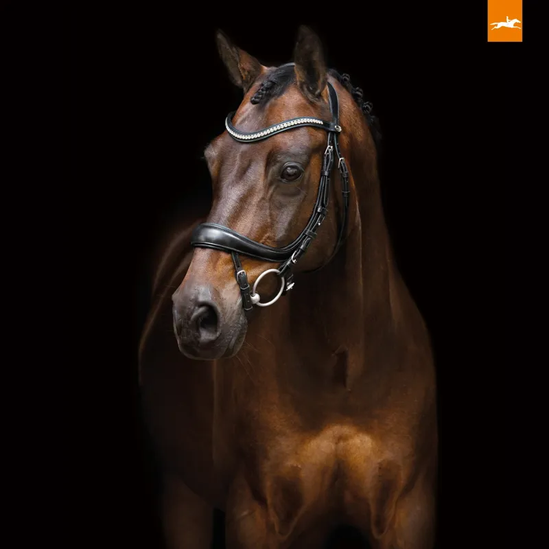 Schockemohle Equitus Beta Anatomical Special Bridle in Black