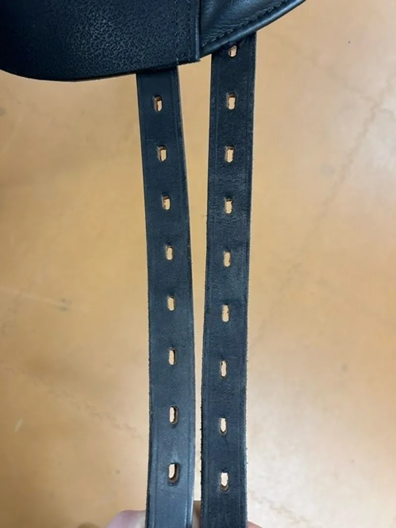 Black Country Eloquence 16.5 MW Dressage Saddle in Black-4