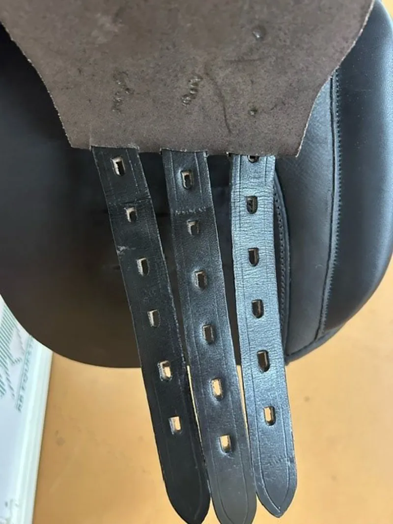 Black Country Show Saddle 18 Wide in Brown with Native Tree-4