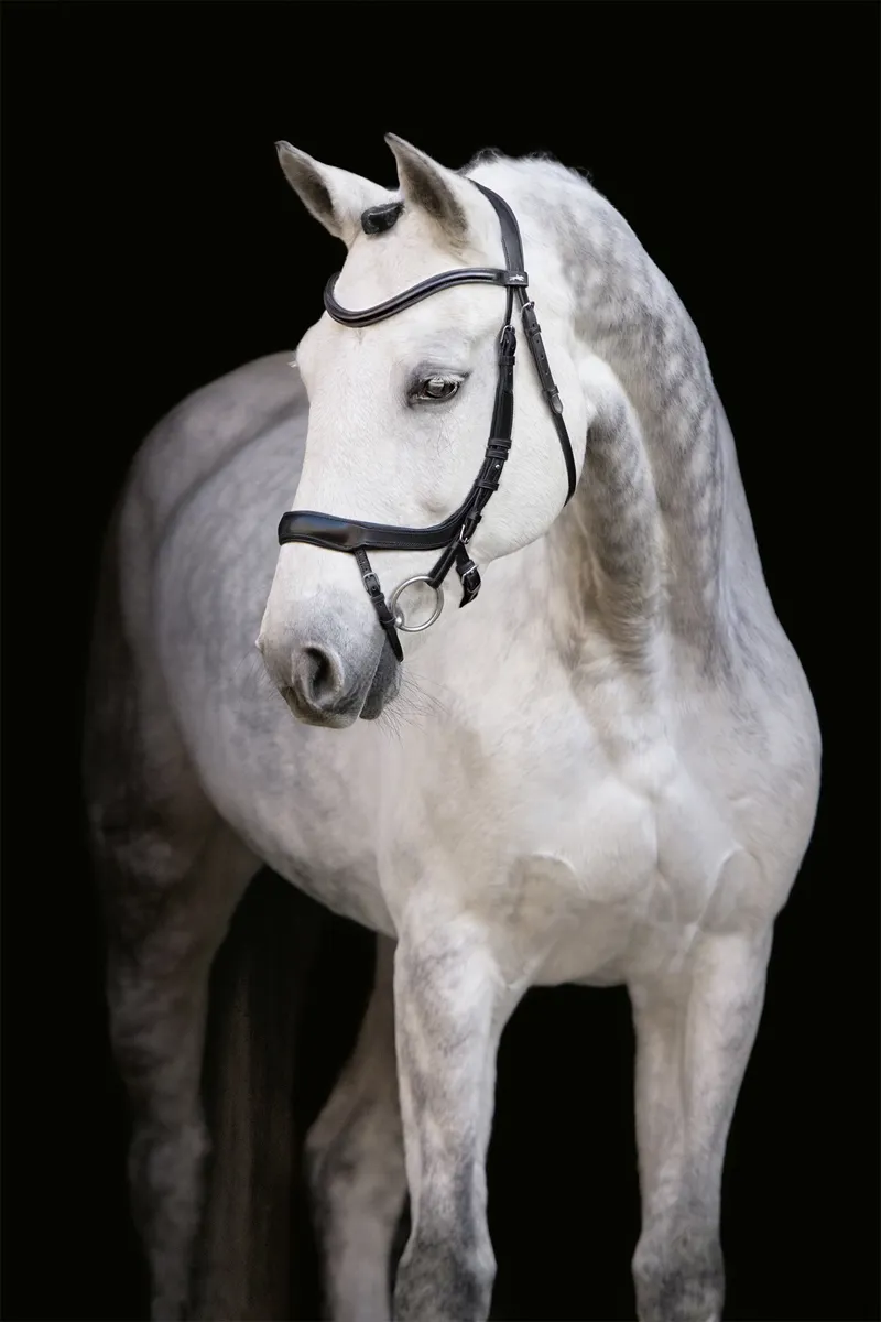 Schockemohle Equitus Alpha Anatomical Special Bridle in Black
