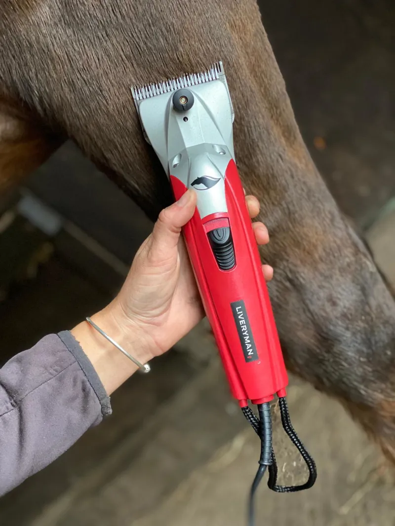 Liveryman Black Beauty Clippers Mains-2