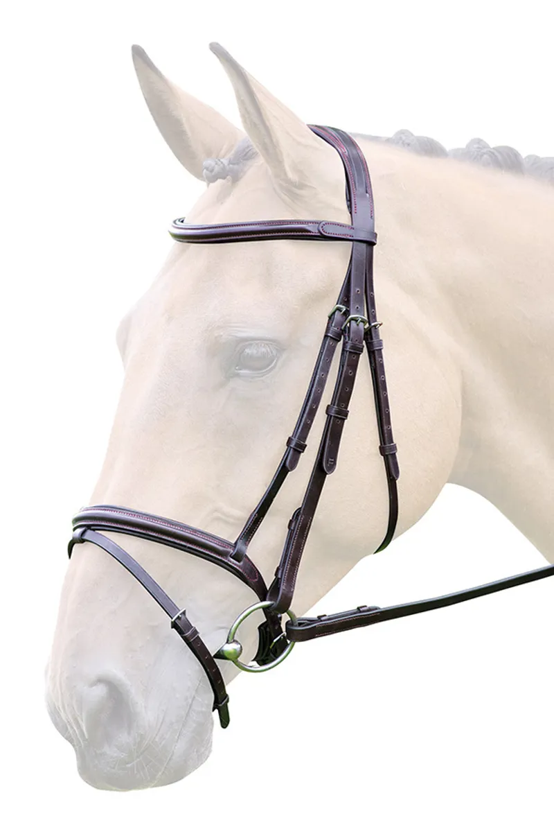 Bridleway Lavello Flash Bridle Black or Brown-1