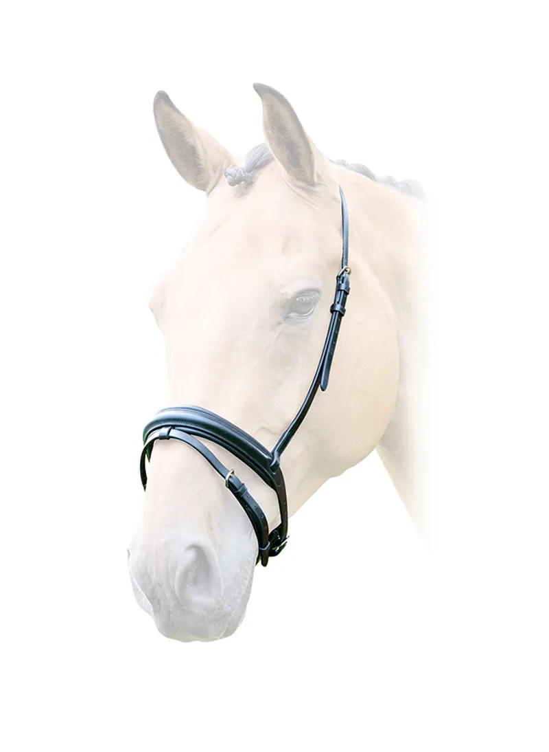 Bridleway Lavello Flash Noseband