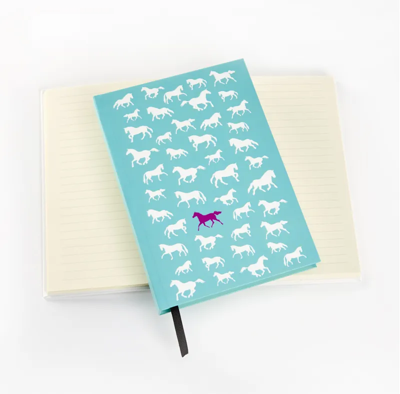 Gubblecote Brights A5 Hardback Notebook in Turquoise
