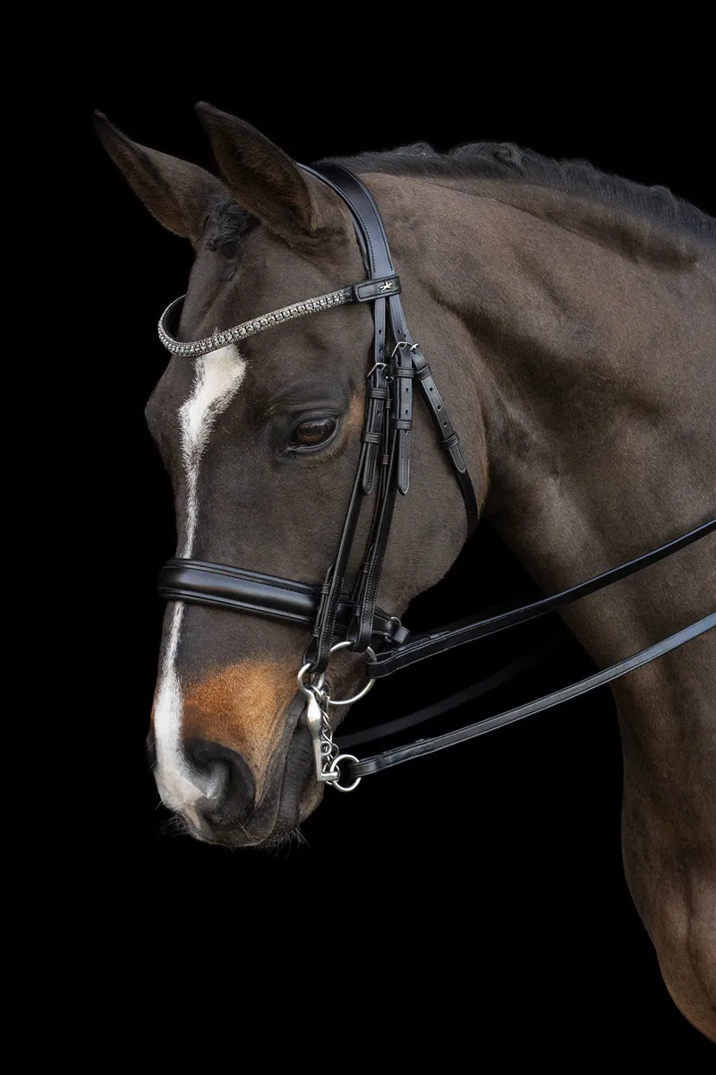 Schockemohle Brindisi Double Bridle in Black and Grey-3