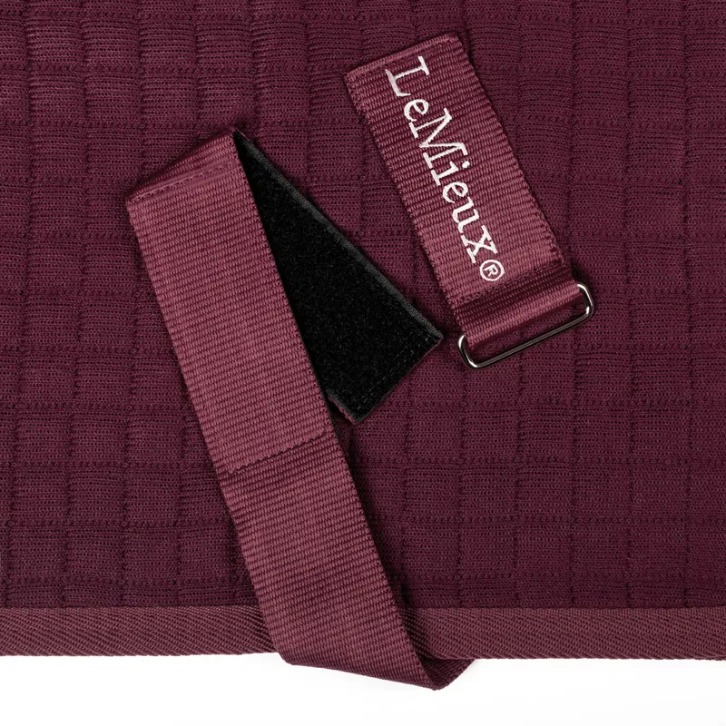 LeMieux Arika Clima-Tek Rug in Burgundy-4