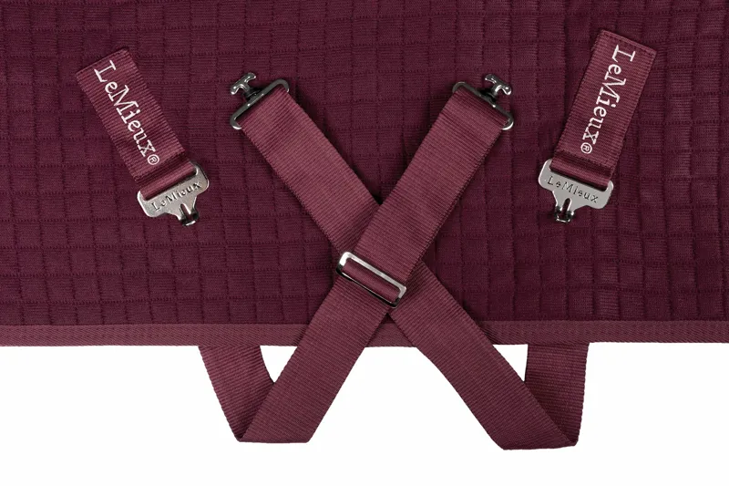 LeMieux Arika Clima-Tek Rug in Burgundy-5
