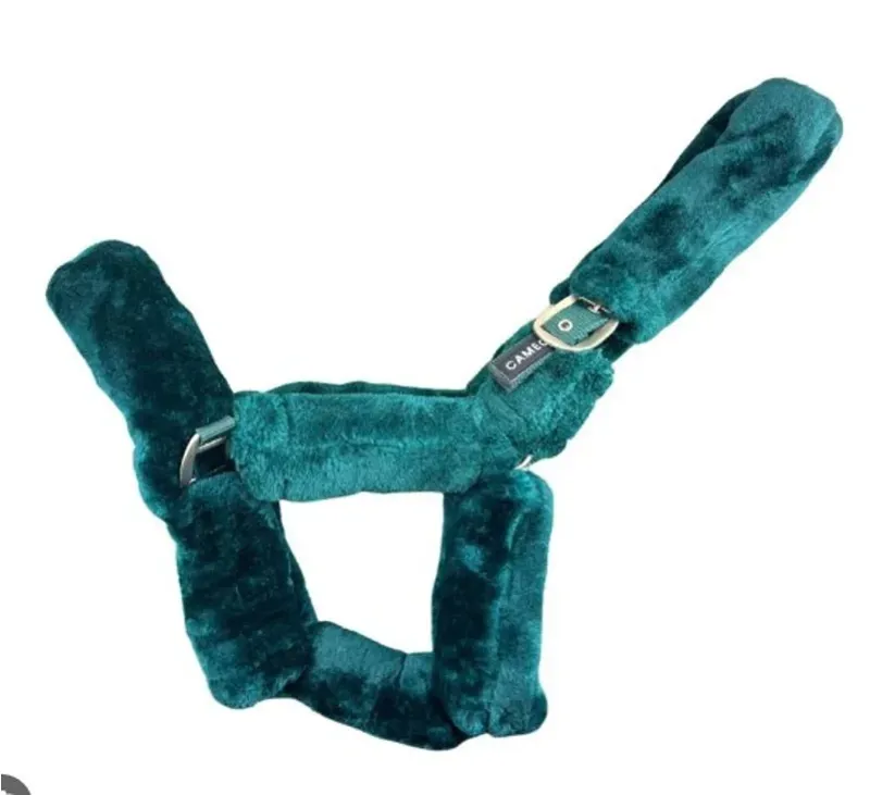Cameo Equine Deluxe Headcollar in Evergreen
