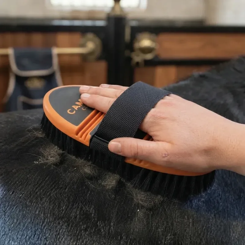 Cameo Equine Flexi Grooming Brush in Black and Orange-1
