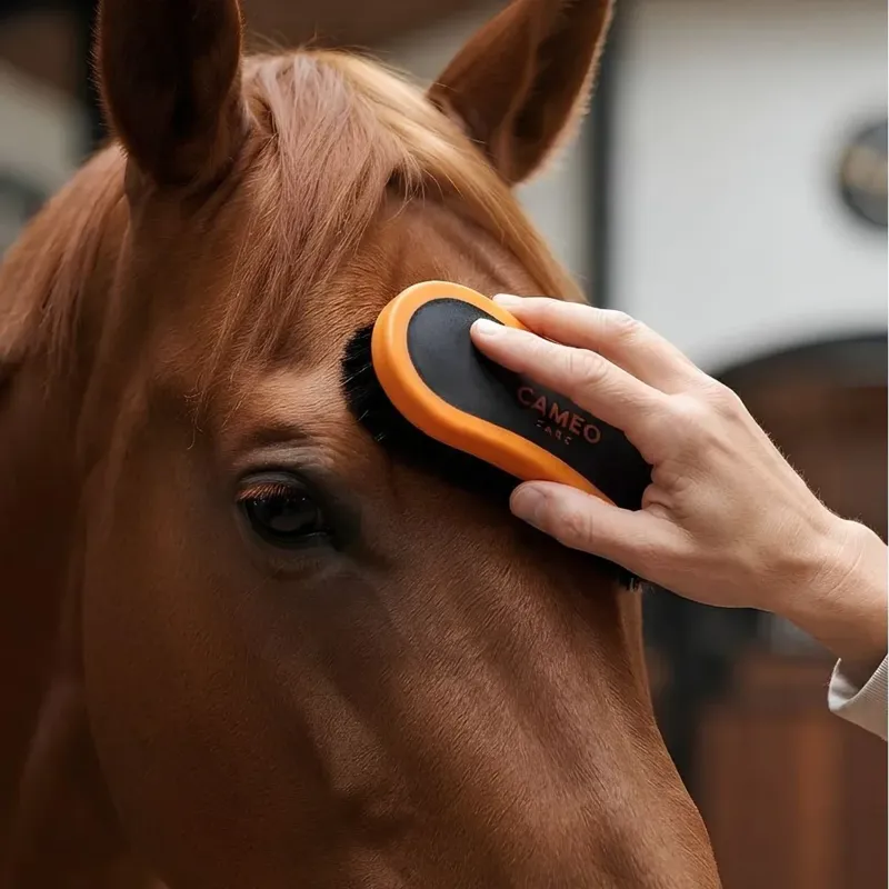 Cameo Equine Face Brush in Black and Orange-1