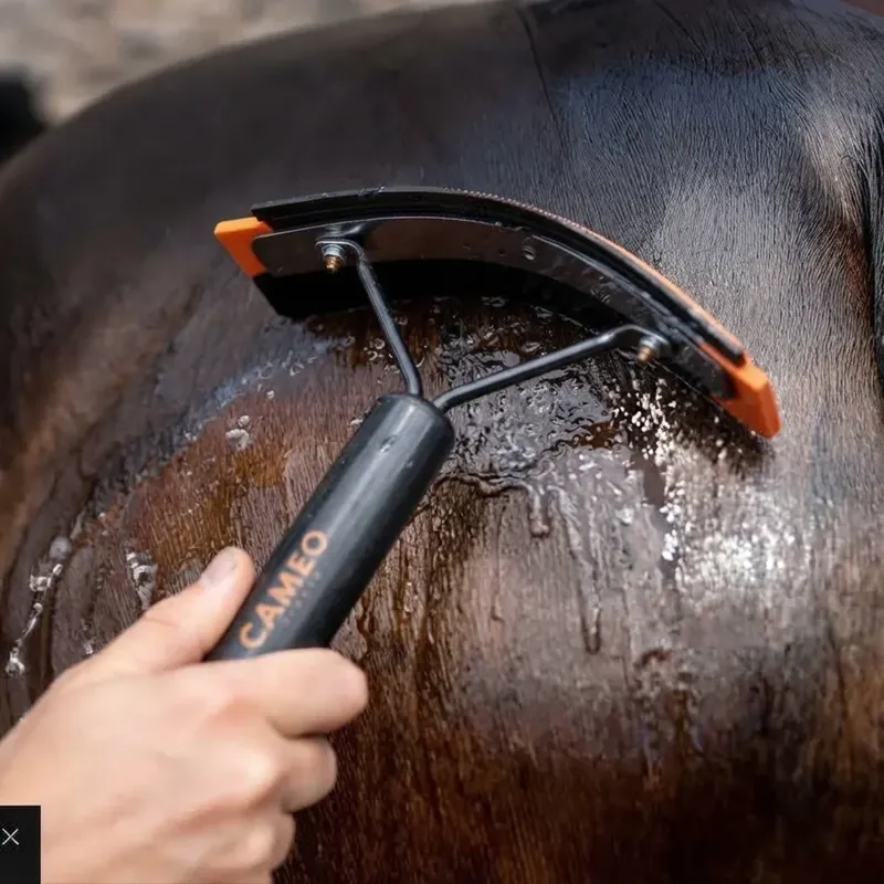 Cameo Equine Sweat Scraper in Black and Orange-1