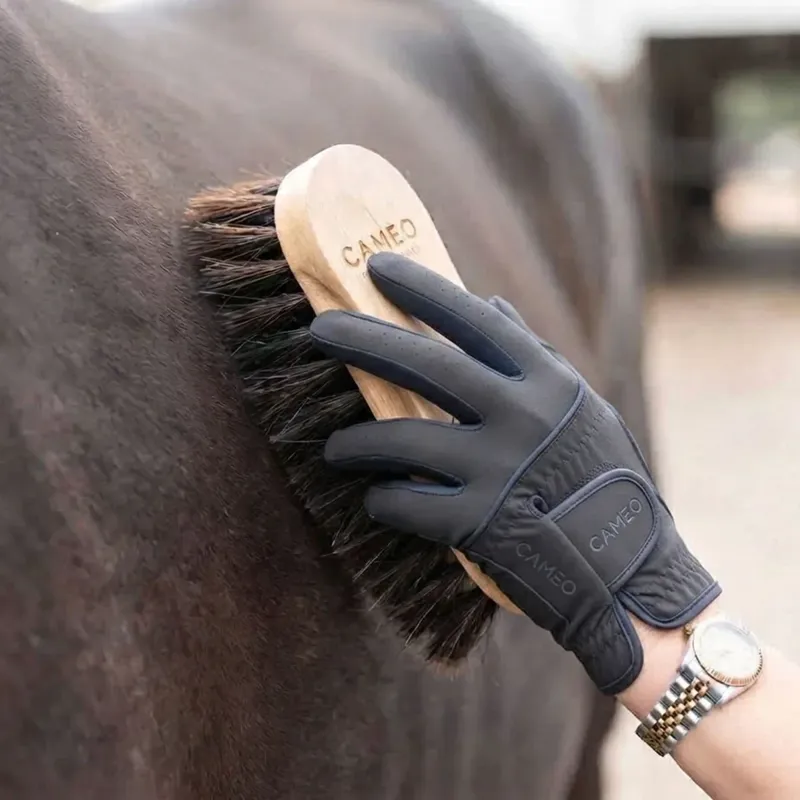 Cameo Equine Deep Clean Dandy Maple Brush-1