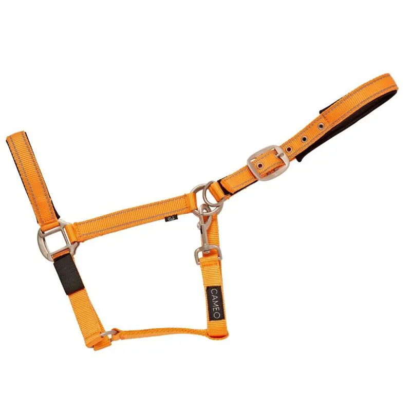Cameo Fieldsafe Headcollar in Orange