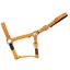 Cameo Fieldsafe Headcollar in Orange
