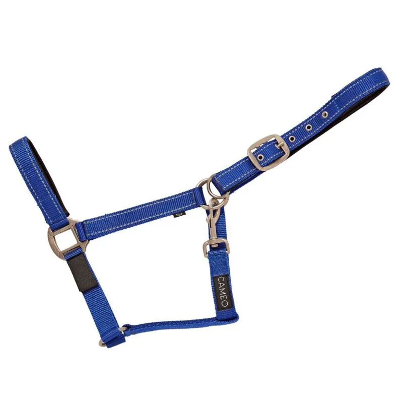 Cameo Fieldsafe Headcollar in Royal