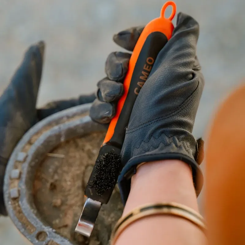 Cameo Equine Hoof Pick with Brush in Black and Orange-1