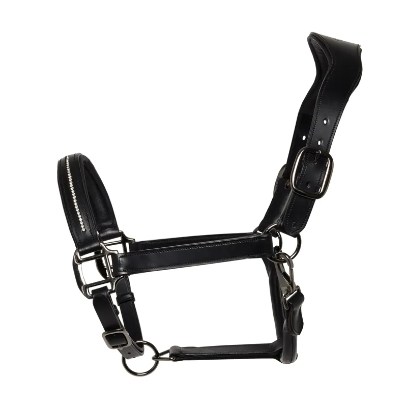 Cameo Competition Leather Headcollar in Black