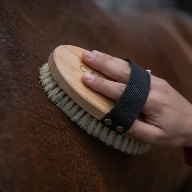 Cameo Equine The Finishing Touch Body Brush -1