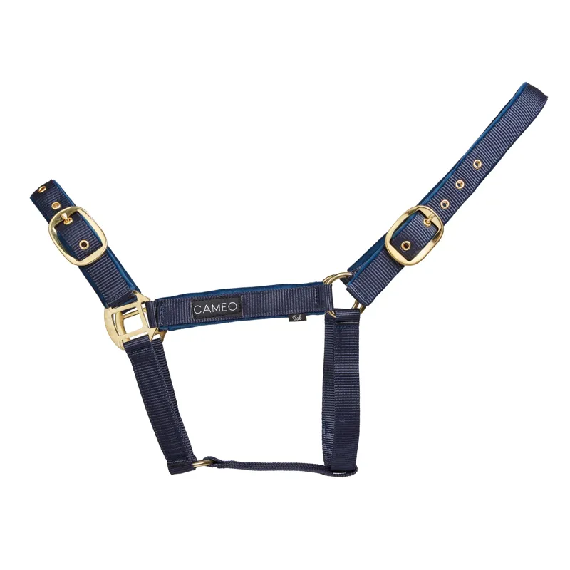 Cameo Suede Padded Headcollar in Navy