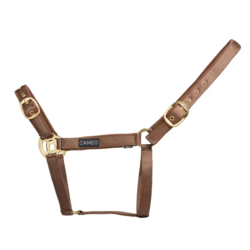 Cameo Suede Padded Headcollar in Mocha