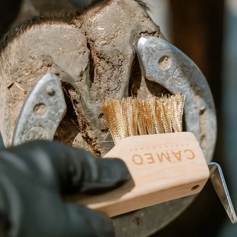 Cameo Equine The Hoof Hero Elite Edition Hoof Pick-2