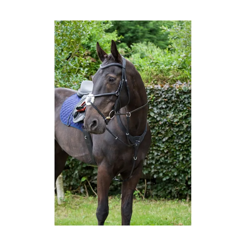 Cameo Performance Elasticated Breastplate in Black
