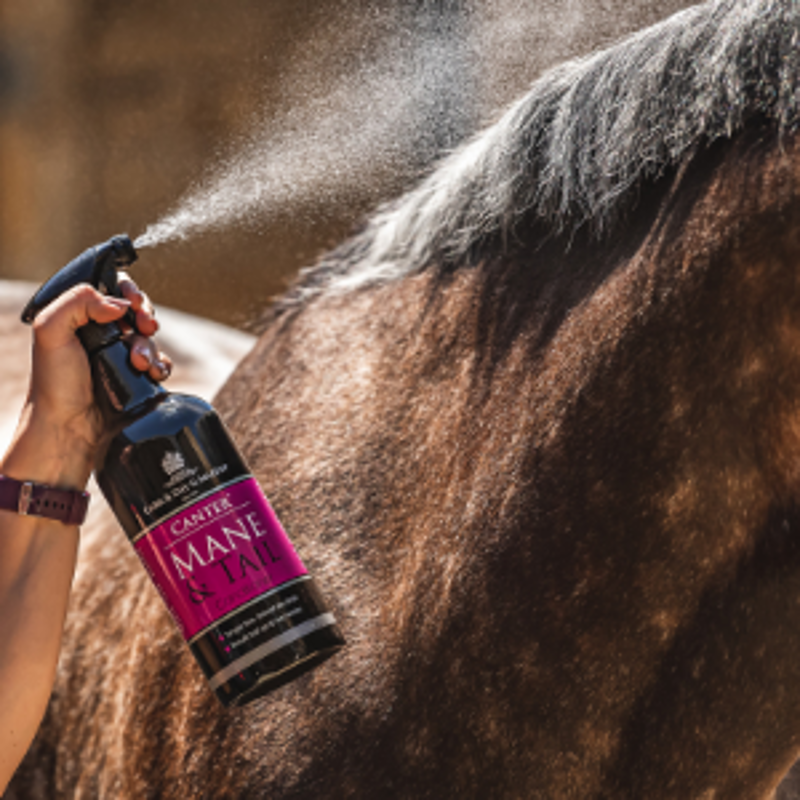 Carr and Day and Martin Canter Mane and Tail Conditioner-1