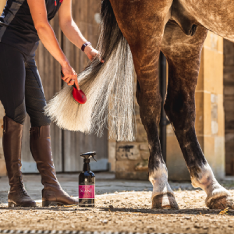 Carr and Day and Martin Canter Mane and Tail Conditioner-2