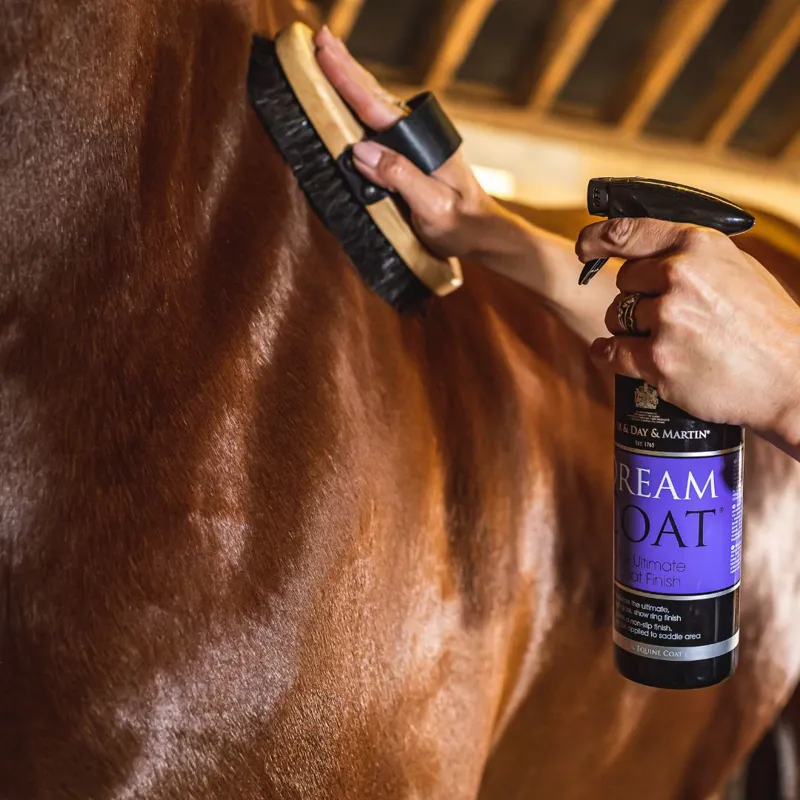 Carr and Day and Martin Dreamcoat Spray-2