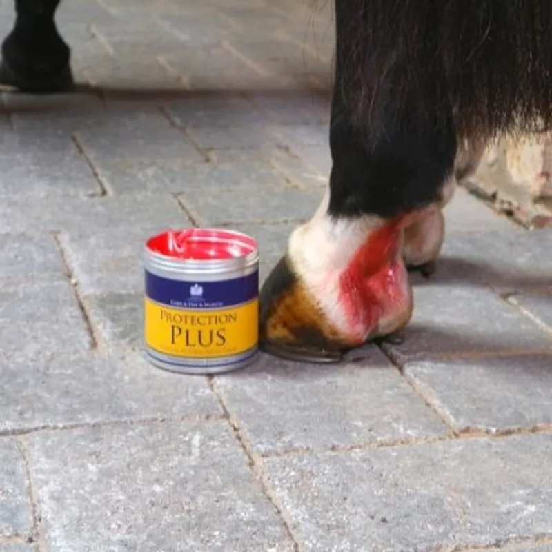 Carr and Day and Martin Protection Plus-2