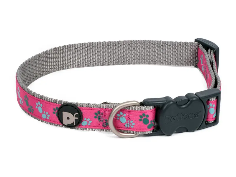Petface Paws Dog Collar in Cerise and Grey