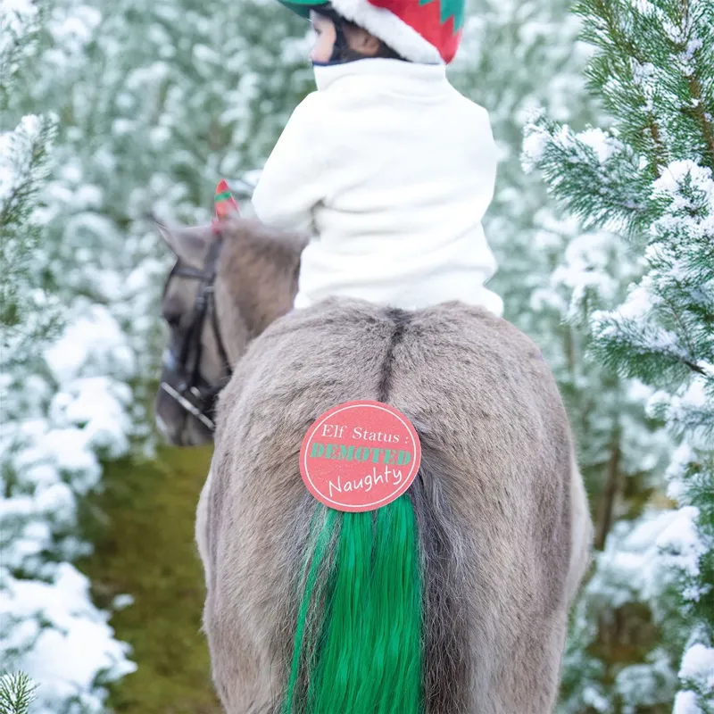 Equetech Cheeky Elf Festive Christmas Tail Tassel - Green-1
