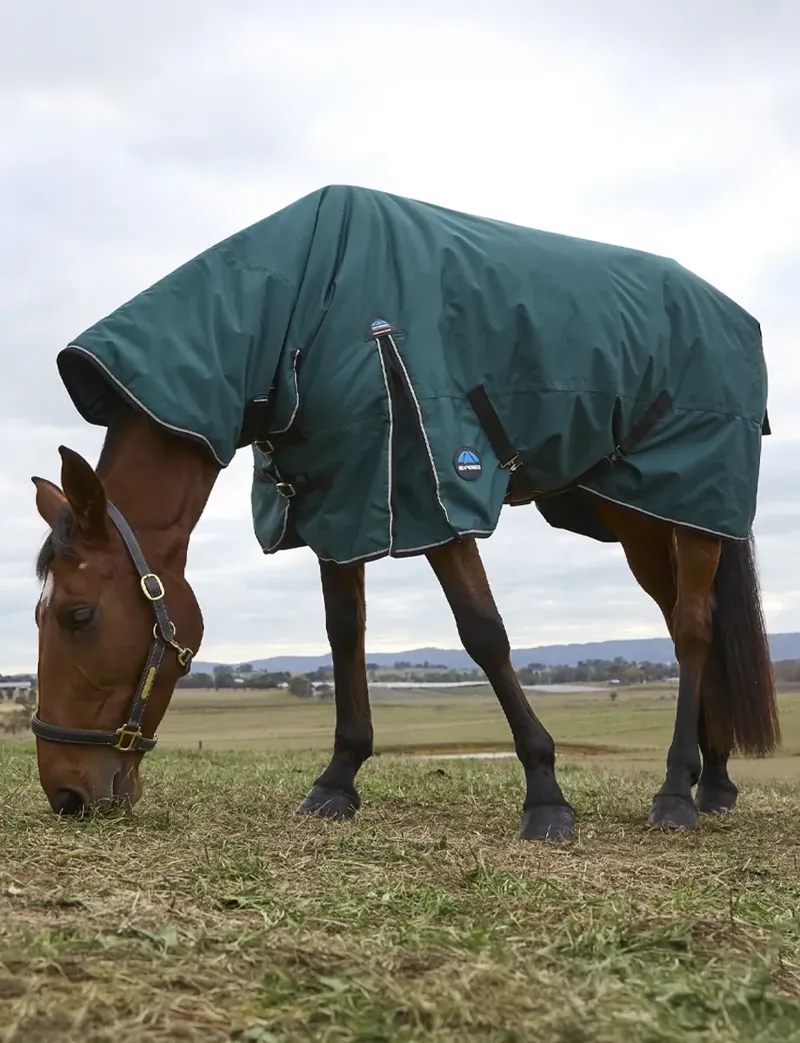 Weatherbeeta Comfitec Classic Combo 50g Turnout Rug in Forest-3