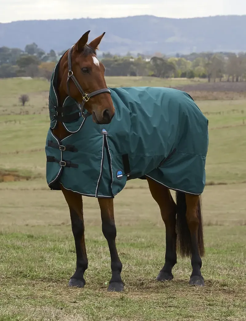 Weatherbeeta Comfitec Classic Combo 50g Turnout Rug in Forest-2