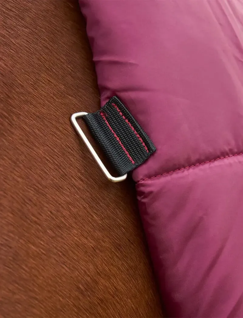 Weatherbeeta Comfitec Prelim Combo 0g Turnout Rug in Burgundy and Navy-7