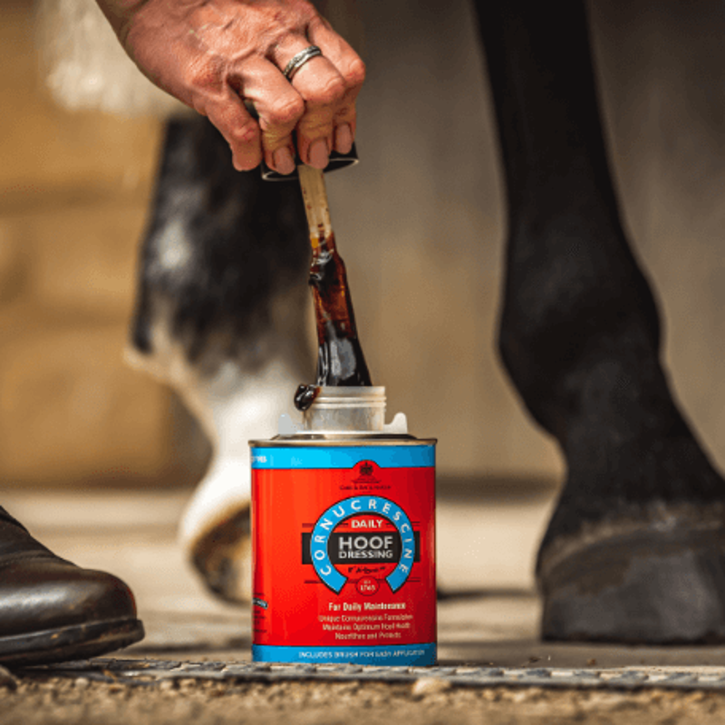 Carr and Day and Martin Cornucrescine Daily Hoof Dressing-1
