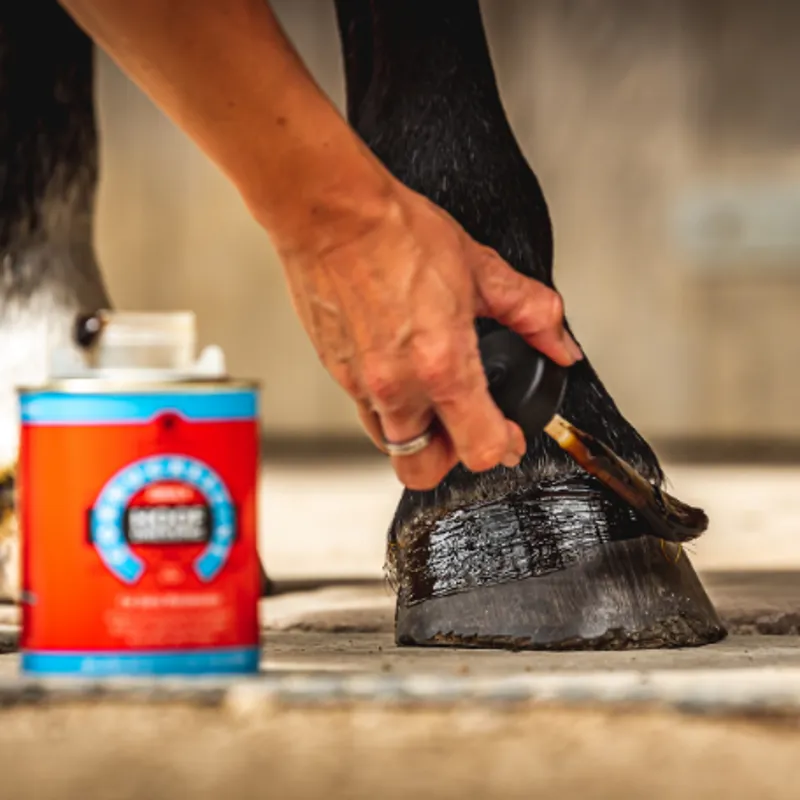Carr and Day and Martin Cornucrescine Daily Hoof Dressing-2