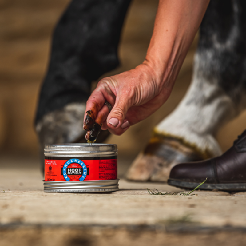 Carr and Day and Martin Cornucrescine Original Hoof Ointment-1
