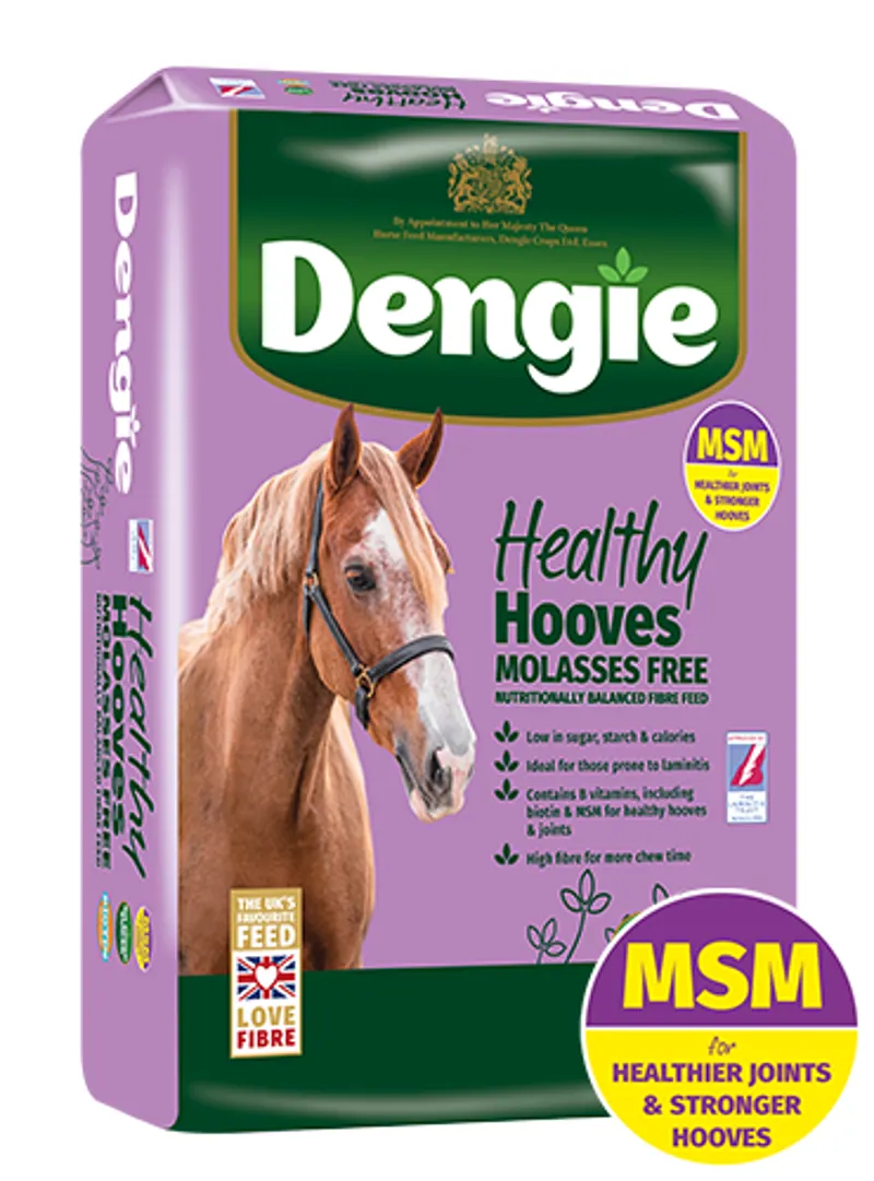Dengie Healthy Hooves Molasses Free Horse Feed 20kg