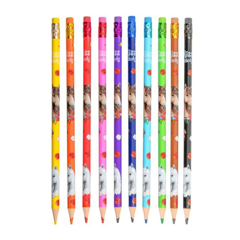 Depesche Miss Melody Erasable Colouring Pencils-1