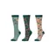 Dublin 3 Pack of Socks Childs in Autumnal