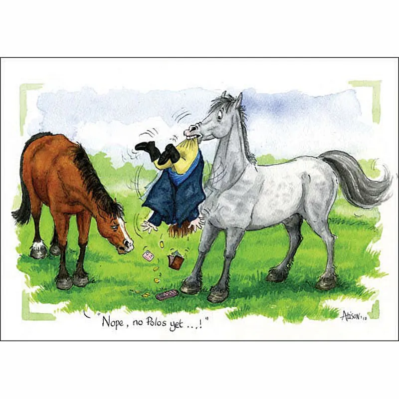 Elico Alison's Horses Cards 6 Pack