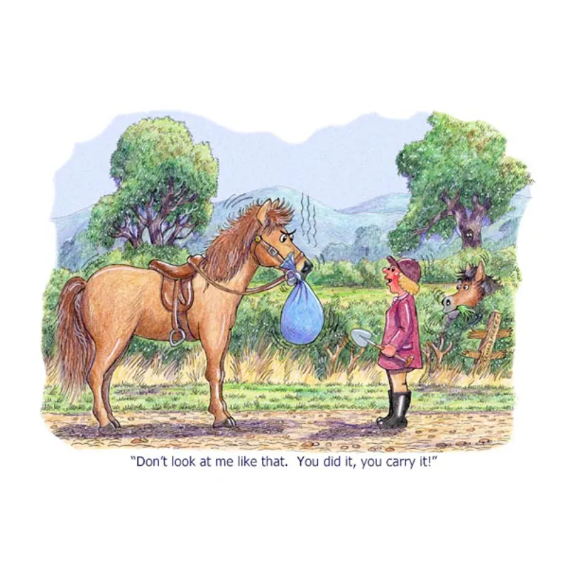Elico Horse and Pony Greetings Card